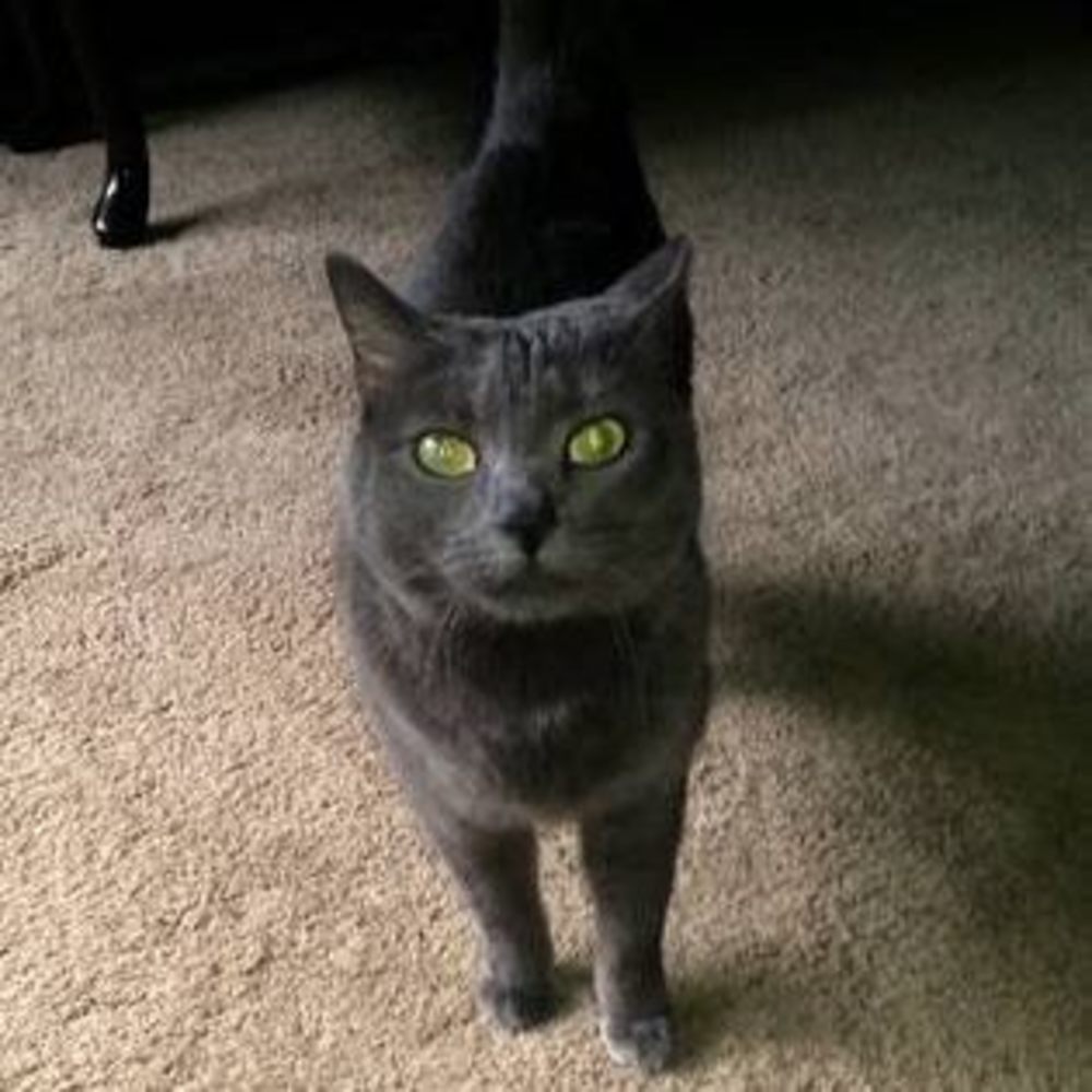 Meet your Posher, Nina